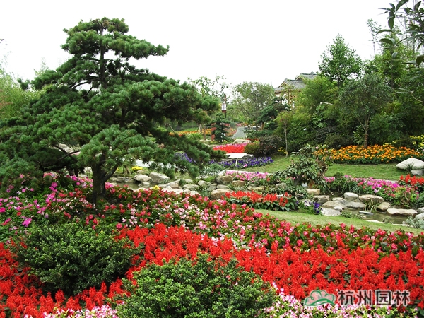 亚洲精品白浆高清久久久久久