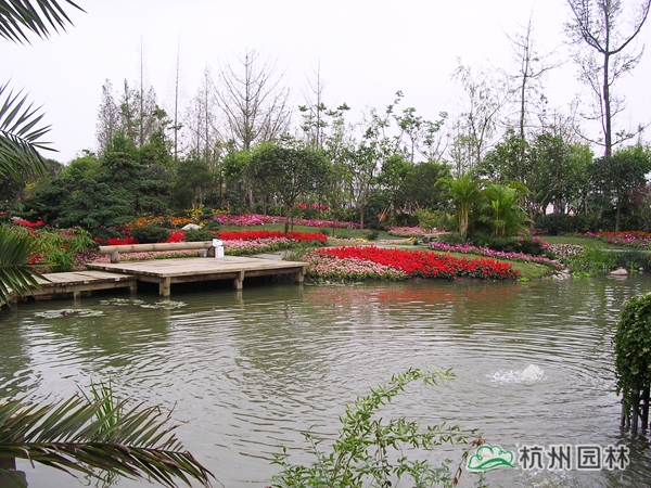 亚洲精品白浆高清久久久久久