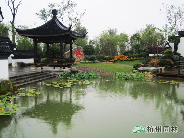 亚洲精品白浆高清久久久久久