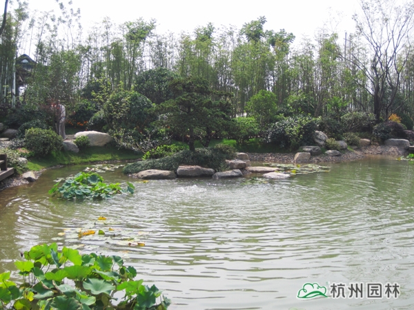 亚洲精品白浆高清久久久久久