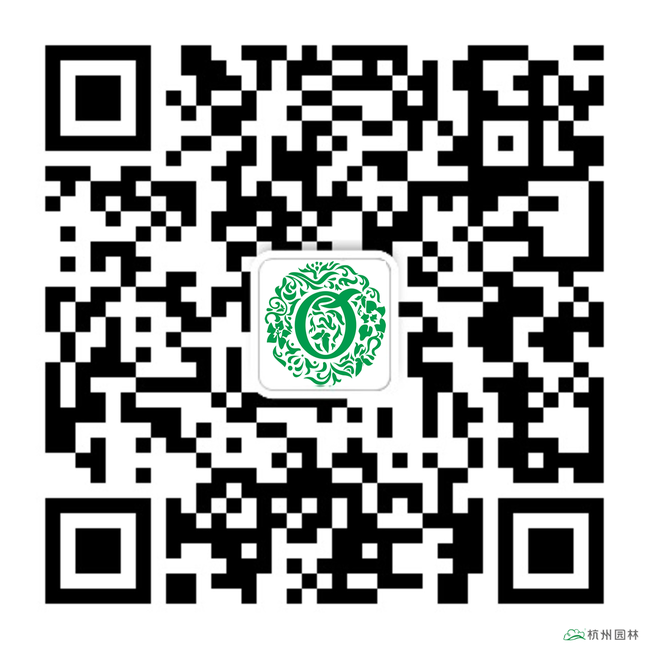 亚洲精品白浆高清久久久久久