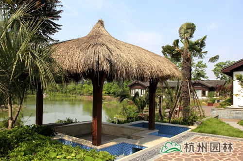 亚洲精品白浆高清久久久久久