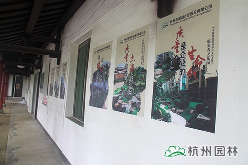 亚洲精品白浆高清久久久久久