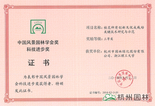 亚洲精品白浆高清久久久久久