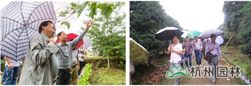 亚洲精品白浆高清久久久久久