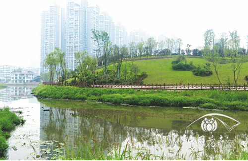 亚洲精品白浆高清久久久久久