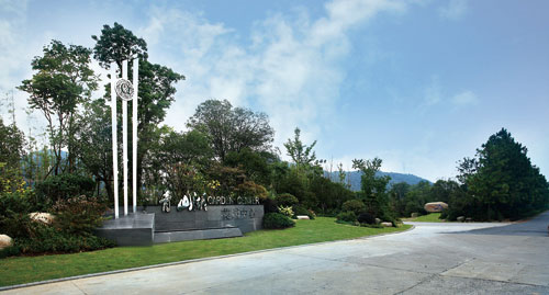 亚洲精品白浆高清久久久久久