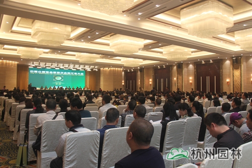亚洲精品白浆高清久久久久久