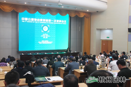 亚洲精品白浆高清久久久久久