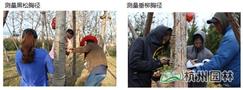 亚洲精品白浆高清久久久久久