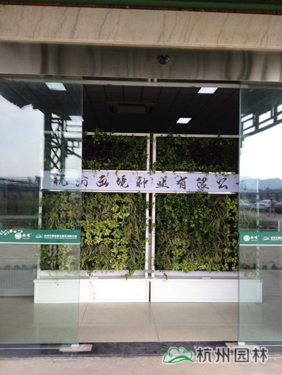 亚洲精品白浆高清久久久久久