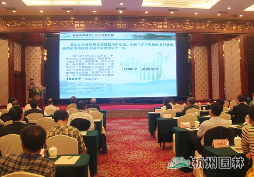 亚洲精品白浆高清久久久久久