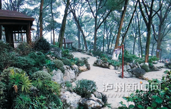 亚洲精品白浆高清久久久久久