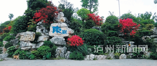 亚洲精品白浆高清久久久久久