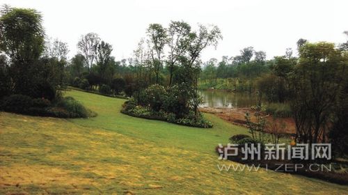 亚洲精品白浆高清久久久久久