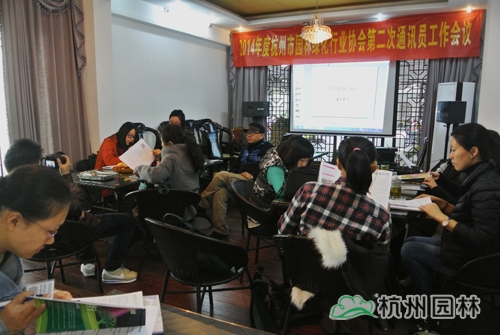 亚洲精品白浆高清久久久久久