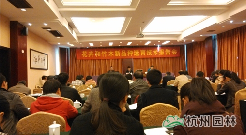 亚洲精品白浆高清久久久久久