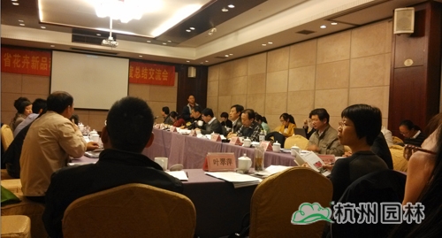 亚洲精品白浆高清久久久久久