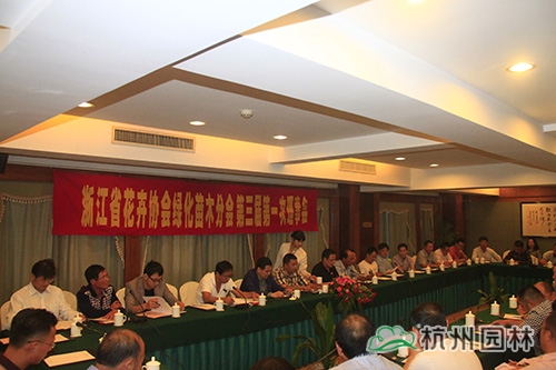 亚洲精品白浆高清久久久久久