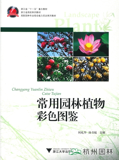 亚洲精品白浆高清久久久久久