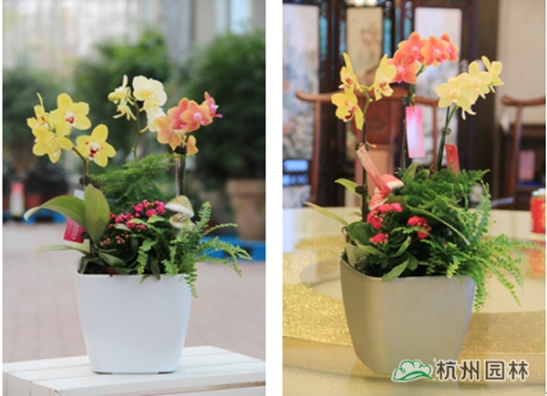 亚洲精品白浆高清久久久久久