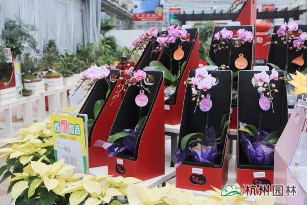 亚洲精品白浆高清久久久久久
