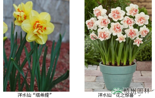亚洲精品白浆高清久久久久久