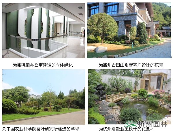 亚洲精品白浆高清久久久久久
