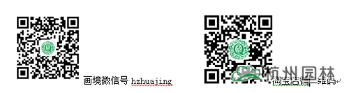 亚洲精品白浆高清久久久久久