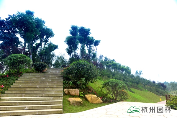 亚洲精品白浆高清久久久久久