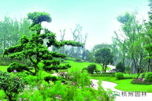 亚洲精品白浆高清久久久久久