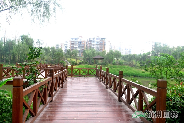 亚洲精品白浆高清久久久久久