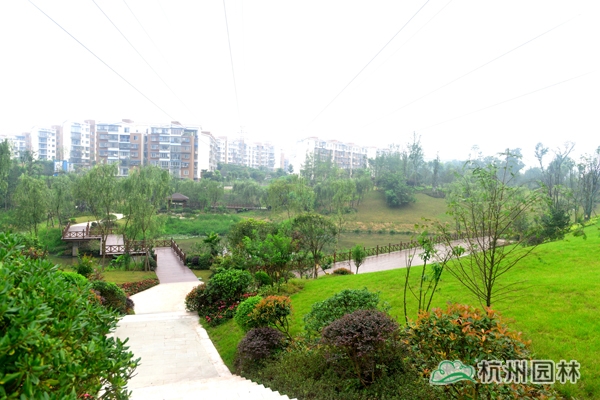 亚洲精品白浆高清久久久久久