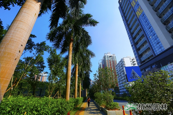 亚洲精品白浆高清久久久久久