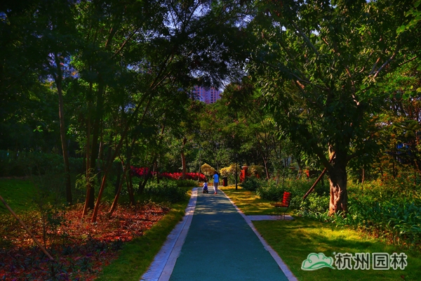 亚洲精品白浆高清久久久久久