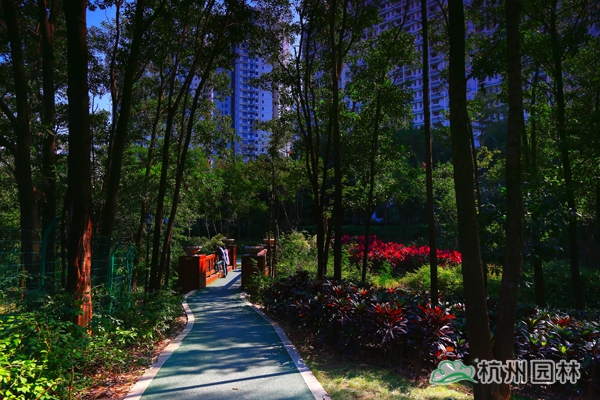 亚洲精品白浆高清久久久久久