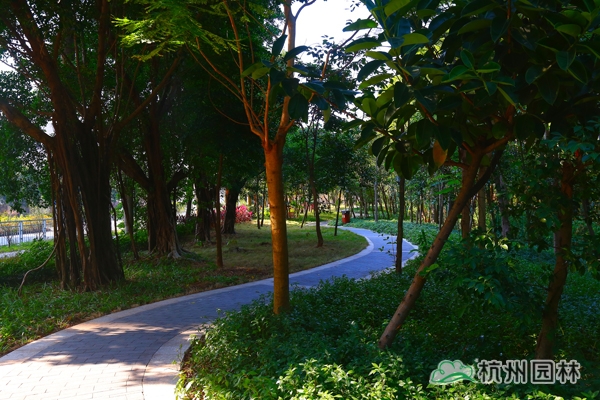 亚洲精品白浆高清久久久久久