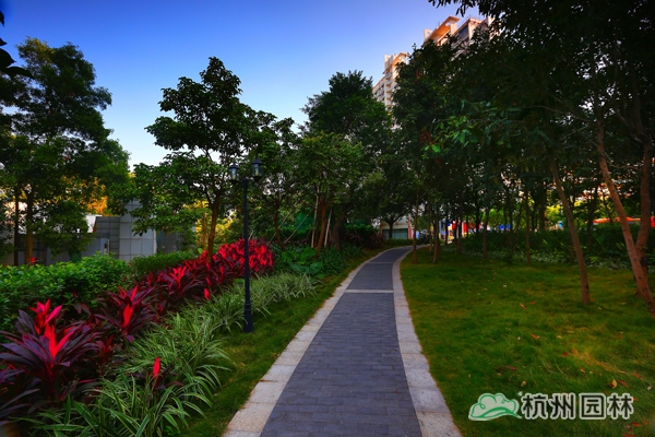 亚洲精品白浆高清久久久久久