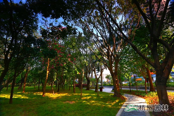 亚洲精品白浆高清久久久久久