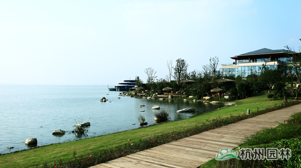 亚洲精品白浆高清久久久久久