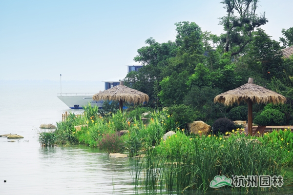 亚洲精品白浆高清久久久久久