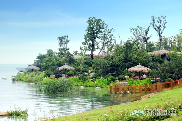 亚洲精品白浆高清久久久久久