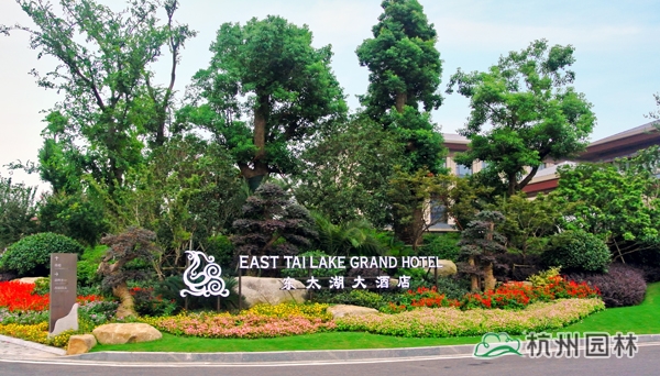 亚洲精品白浆高清久久久久久