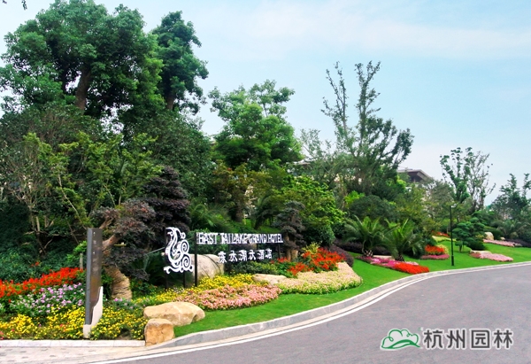 亚洲精品白浆高清久久久久久