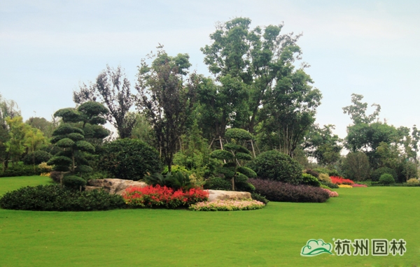 亚洲精品白浆高清久久久久久