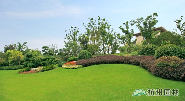 亚洲精品白浆高清久久久久久