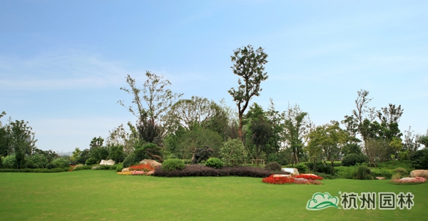 亚洲精品白浆高清久久久久久