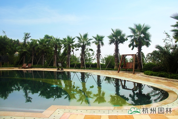 亚洲精品白浆高清久久久久久