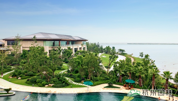 亚洲精品白浆高清久久久久久