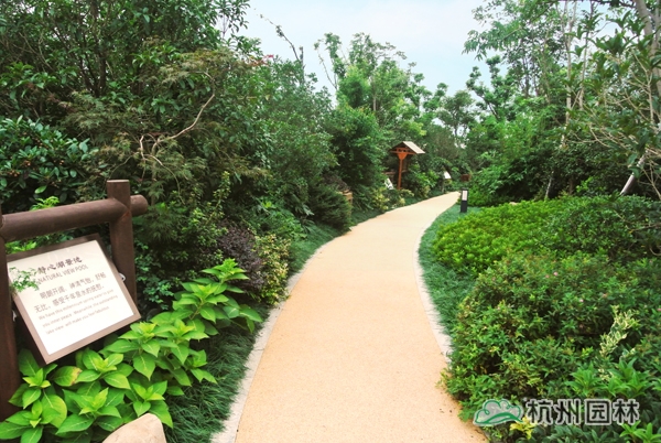 亚洲精品白浆高清久久久久久